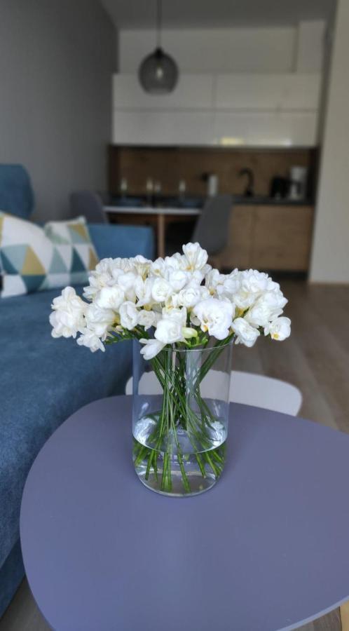 Apartament Kameleon Дзвиржино Екстериор снимка