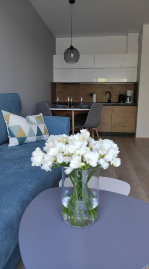 Apartament Kameleon Дзвиржино Екстериор снимка